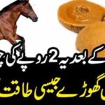 horsee-1024x536