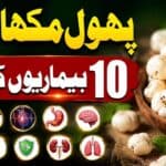 N88PQe5JmyM-HD